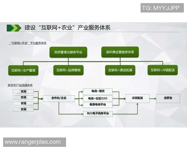 以赞助商需求为导向构建多元合作模式推动品牌价值最大化提升