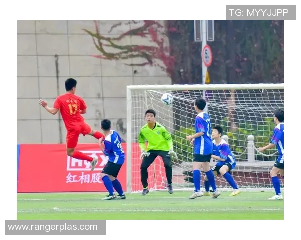 球类运动的多样性与魅力：从传统到创新的运动项目与发展趋势探索