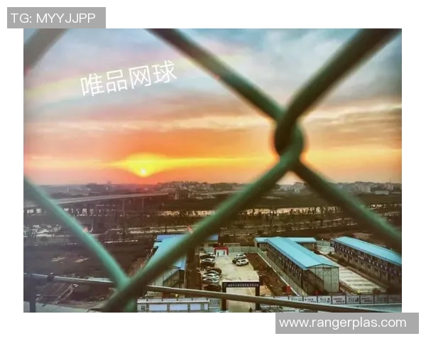 南京网球队技术表现分析与联赛成绩的深度解读